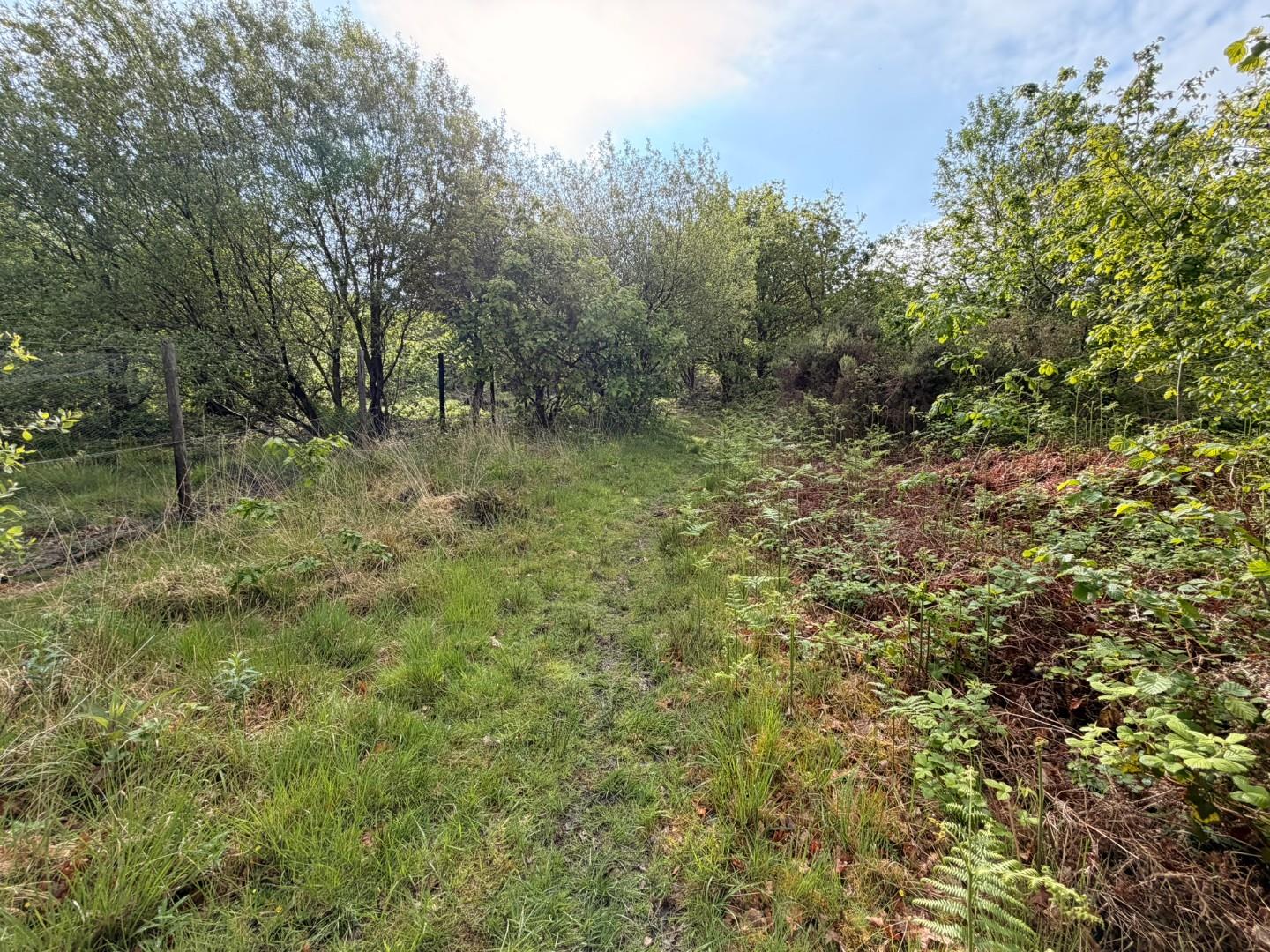 Approximately 5.706 acres adjacent to, Afan Valley Road, Cwmavon, Port Talbot SA12 9HA